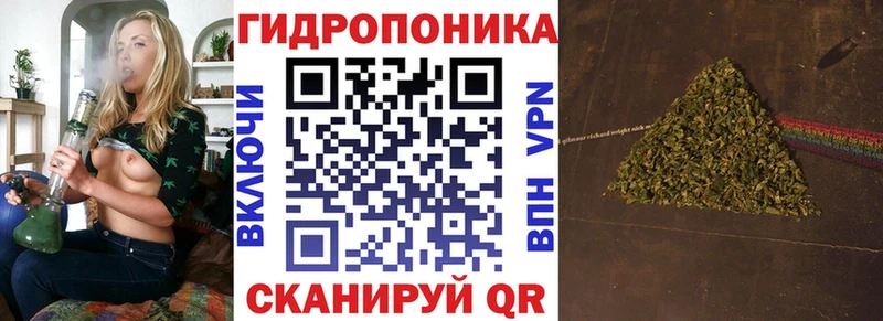 где купить   Богучар  omg вход  Бошки Шишки AK-47 